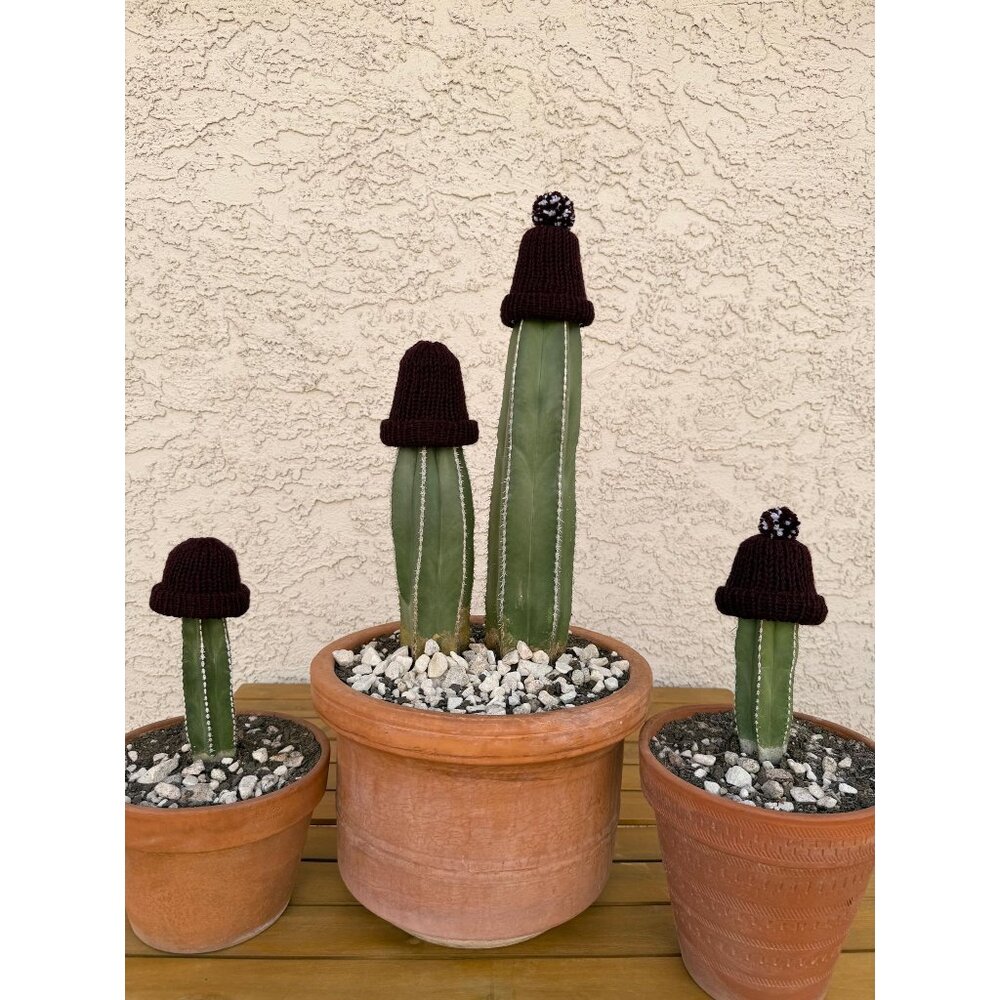 Knit Cactus Hat – Dark Maroon Freeze Protection with Foam Cup